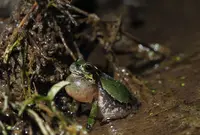 上野原市の写真・動画_image_54193