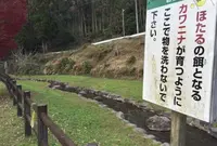 小野泉水公園の写真・動画_image_54649
