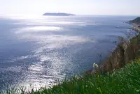 灘黒岩水仙郷の写真・動画_image_57126