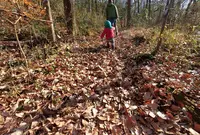 都立野山北・六道山公園 里山民家の写真・動画_image_61339