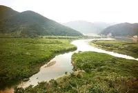 マングローブカヌーツーリングの写真・動画_image_61397