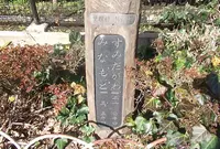 神田川の写真・動画_image_62655