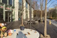 ベルベ 豊洲店の写真・動画_image_65708