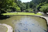 蓮華寺の写真・動画_image_67214