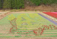 玄武洞の写真・動画_image_71396