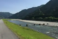 名畑の流れ橋の写真・動画_image_77202