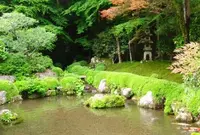 寂光院の写真・動画_image_86490