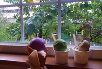 （有）丹後ジャージー牧場 ミルク工房そらの写真・動画_image_94112
