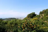 多良岳オレンジ海道の写真・動画_image_1069501