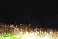 東尋坊の写真・動画_image_126050