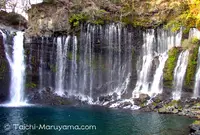 白糸の滝の写真・動画_image_127430