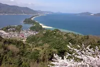 天橋立ビューランドの写真・動画_image_132786