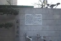 桑津の写真・動画_image_137456