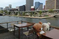 Bistro bar 真琴の写真・動画_image_139509