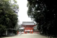 下鴨神社（賀茂御祖神社）の写真・動画_image_139973