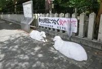 泉大津市の写真・動画_image_149011