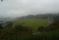 椹平の棚田の写真・動画_image_152126