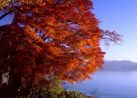 田沢湖の写真・動画_image_153471