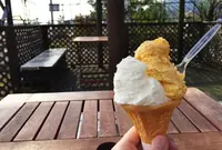 レガーロの写真・動画_image_161258