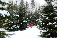 星野リゾート リゾナーレトマムの写真・動画_image_169030