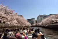 お江戸日本橋舟めぐりの写真・動画_image_171344