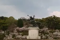 菊池市民広場の写真・動画_image_172617