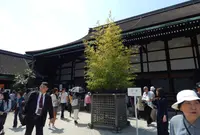 清涼殿の写真・動画_image_173834