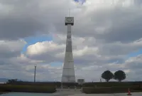 ひまわりの丘公園の写真・動画_image_188346