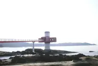 足摺海底館の写真・動画_image_189304