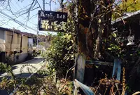 野いばらの実の写真・動画_image_207727