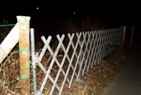 幽霊屋敷の写真・動画_image_208236