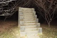 佐倉城址公園の写真・動画_image_208241