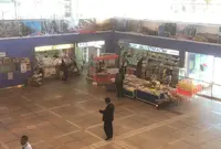 元町港船客待合所の写真・動画_image_210695