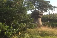 大島温泉　元町浜の湯の写真・動画_image_210696