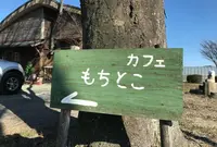 もちとこの写真・動画_image_211590