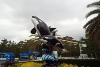 鴨川シーワールドの写真・動画_image_218592