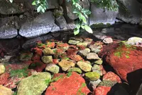 熱田神宮水源の写真・動画_image_221742