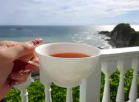 【閉業】葉山ホテル音羽ノ森 カフェテラスの写真・動画_image_242905