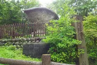 傘岩の写真・動画_image_248542