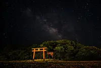 久嶋（孔島）鈴島植物群落の写真・動画_image_327520