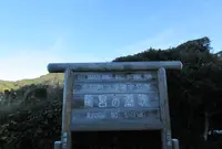 龍宮の潮吹の写真・動画_image_529207