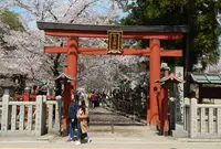 氷室神社の写真・動画_image_573853