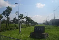 八尾空港の写真・動画_image_625868