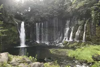 白糸の滝の写真・動画_image_694863