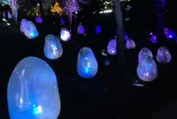 チームラボ どんぐりの森の呼応する生命の写真・動画_image_838836