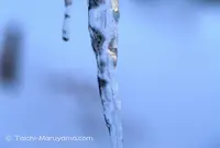 乗鞍高原の写真・動画_image_20938