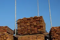 （有）穴井木材工場の写真・動画_image_56058