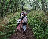 鱒返しの滝の写真・動画_image_34177