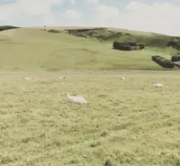 Seven Sistersの写真・動画_image_55031