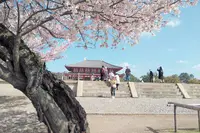 中金堂の写真・動画_image_279691